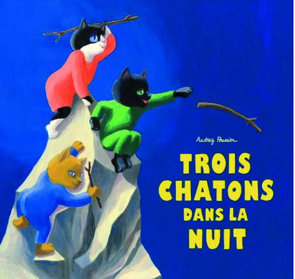 3 chatons dans la nuit